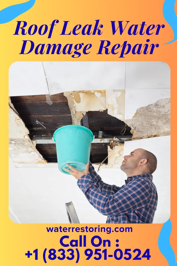 Roof Leak Water Damage Repair in Jacksonville, TX