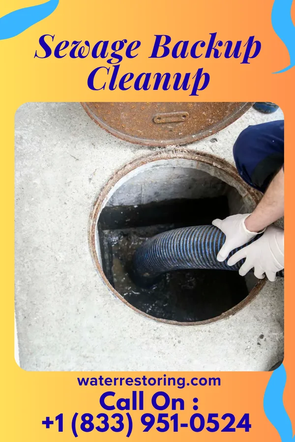 Sewage Backup Cleanup in Jacksonville, TX